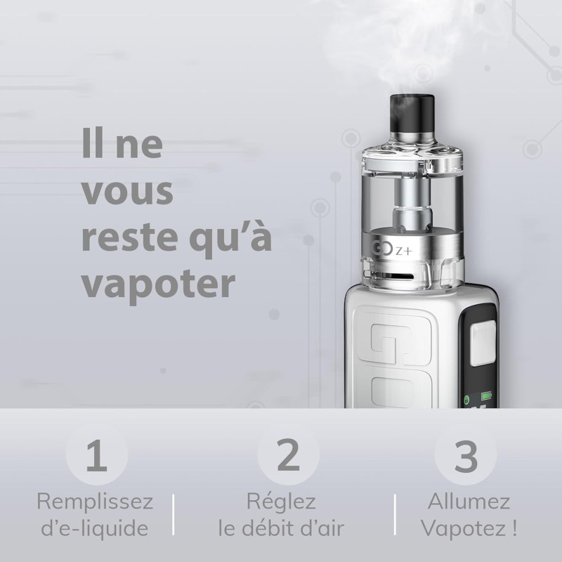 Kit GOZee Starter 2100mAh - Innokin - Gris : Batterie Longue Durée, Résistances Z-Coil, Réservoir 3.5ml