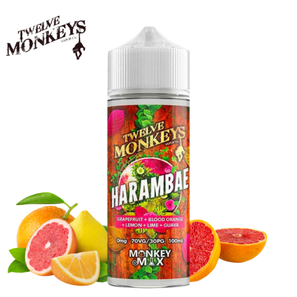 Harambae 100 ml – 12 Monkeys