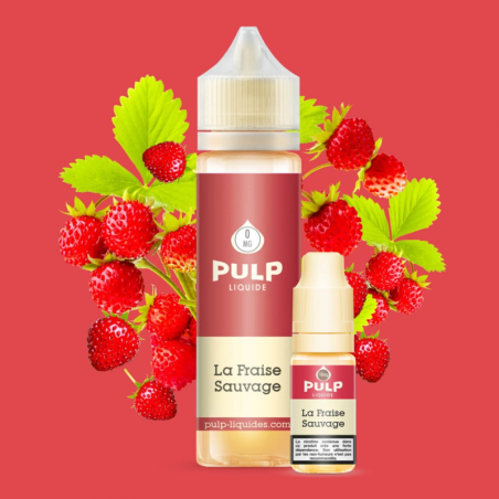 Pack La Fraise Sauvage 60 ml - Pulp
