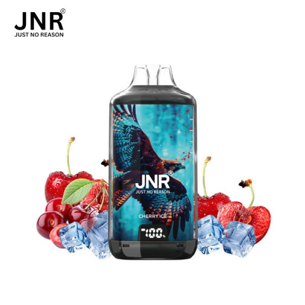 JNR Falcon-X 28K – Puff rechargeable 28 000 puffs, réservoir 10 ml + 2×10 ml, dual mesh 1.2 Ω, 950 mAh