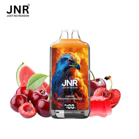 JNR Falcon-X 28K – Puff rechargeable 28 000 puffs, réservoir 10 ml + 2×10 ml, dual mesh 1.2 Ω, 950 mAh