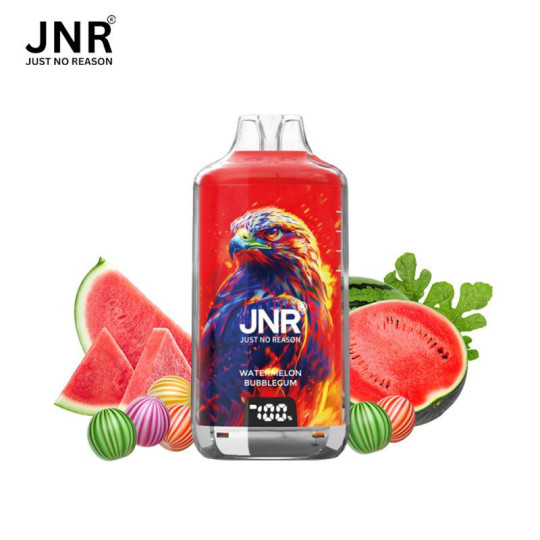 JNR Falcon-X 28K – Puff rechargeable 28 000 puffs, réservoir 10 ml + 2×10 ml, dual mesh 1.2 Ω, 950 mAh