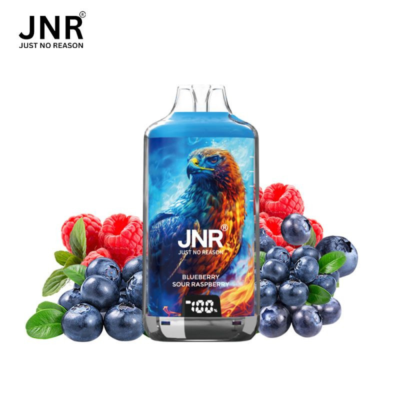 JNR Falcon-X 28K – Puff rechargeable 28 000 puffs, réservoir 10 ml + 2×10 ml, dual mesh 1.2 Ω, 950 mAh