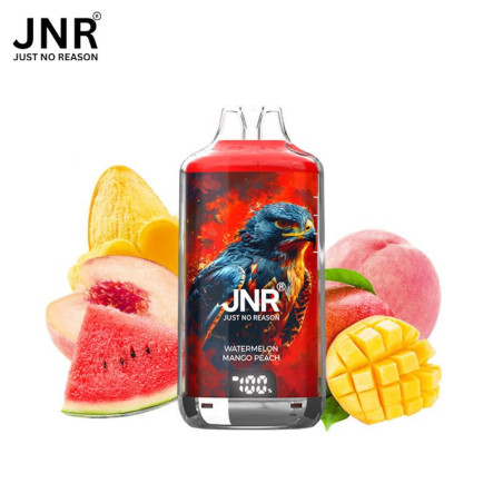 JNR Falcon-X 28K – Puff rechargeable 28 000 puffs, réservoir 10 ml + 2×10 ml, dual mesh 1.2 Ω, 950 mAh