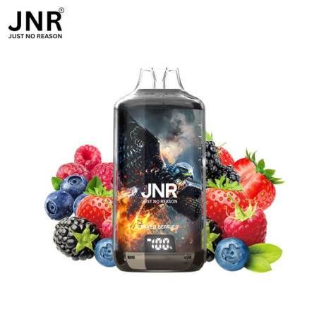 JNR Falcon-X 28K – Puff rechargeable 28 000 puffs, réservoir 10 ml + 2×10 ml, dual mesh 1.2 Ω, 950 mAh
