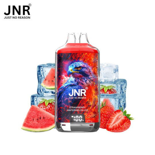 JNR Falcon-X 28K – Puff rechargeable 28 000 puffs, réservoir 10 ml + 2×10 ml, dual mesh 1.2 Ω, 950 mAh