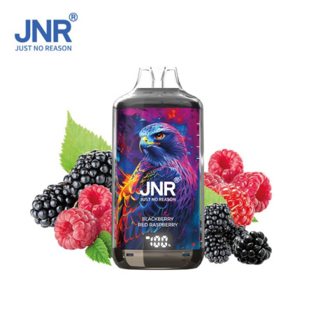 JNR Falcon-X 28K – Puff rechargeable 28 000 puffs, réservoir 10 ml + 2×10 ml, dual mesh 1.2 Ω, 950 mAh