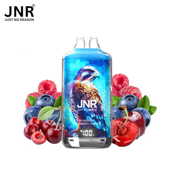 JNR Falcon-X 28K – Puff rechargeable 28 000 puffs, réservoir 10 ml + 2×10 ml, dual mesh 1.2 Ω, 950 mAh
