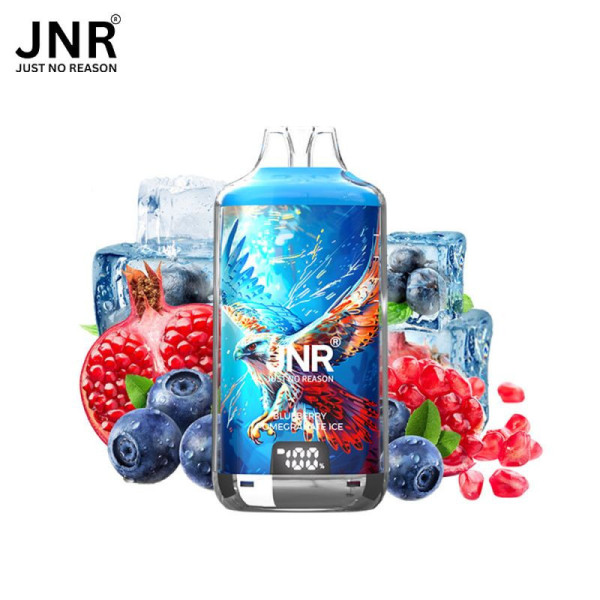JNR Falcon-X 28K – Puff rechargeable 28 000 puffs, réservoir 10 ml + 2×10 ml, dual mesh 1.2 Ω, 950 mAh