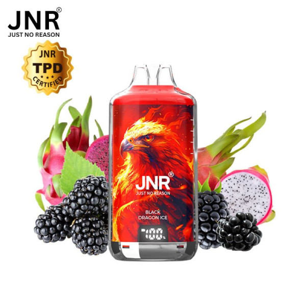 JNR Falcon-X 28K – Puff rechargeable 28 000 puffs, réservoir 10 ml + 2×10 ml, dual mesh 1.2 Ω, 950 mAh