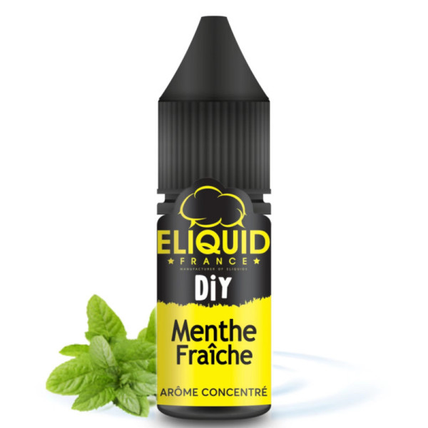 DIY Fresh Mint Flavour 10ml - Eliquid France