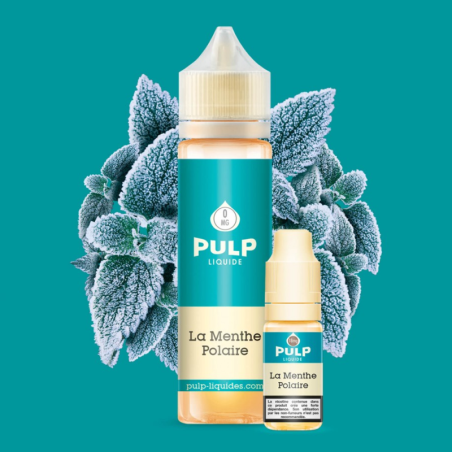 Pack Menthe Polaire 60ml Pulp - Mentholé