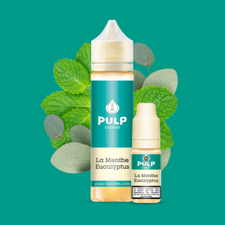 Pack Menthe Eucalyptus 60ml Pulp - Mentholé