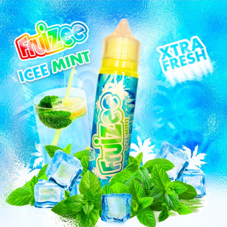 Icee Mint 50 ml – Fruizee